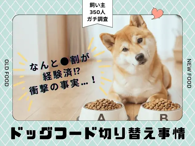 【350人調査】ドッグフード切り替え、実施率は衝撃の●割！愛犬の「マンネリ」を打破する飼い主が急増中 画像 1