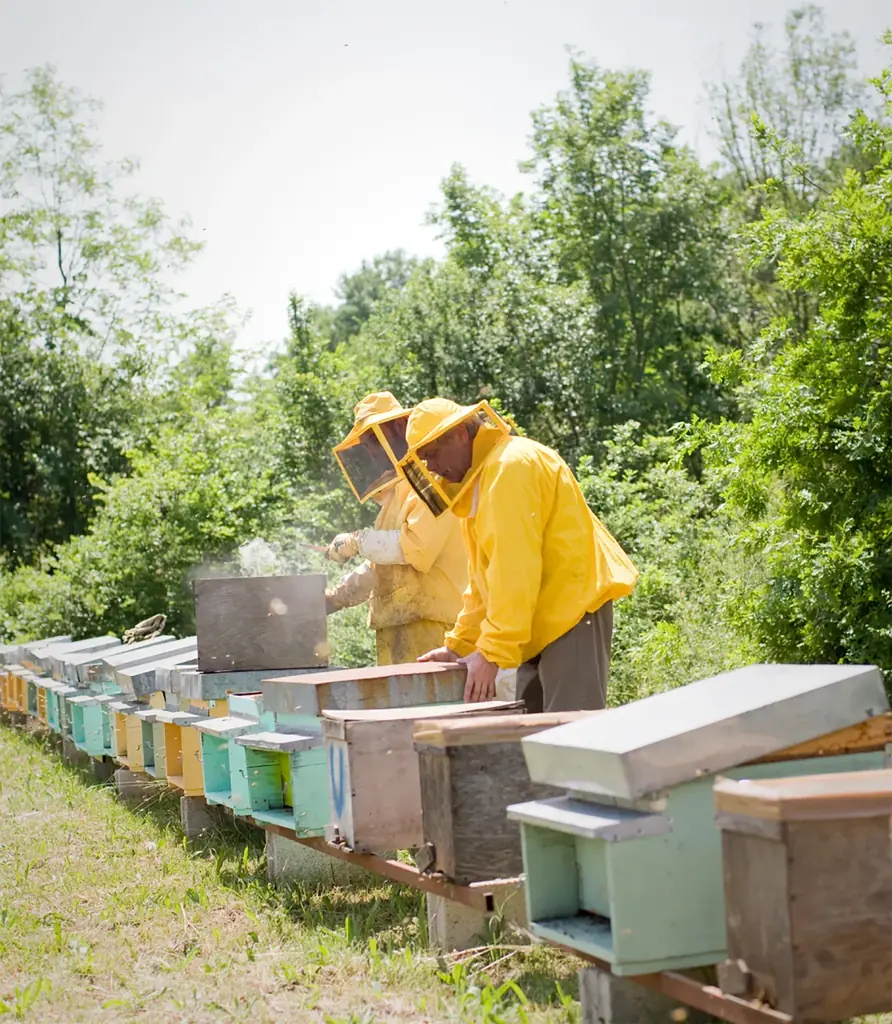 【ラベイユ】バレンタインシーズン限定！世界各国のはちみつの個性を楽しむ「はちみつボンボンショコラ」 画像 24