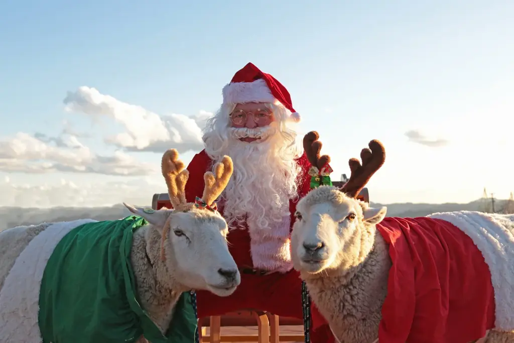 動物たちと癒しのマザー牧場クリスマス！トナカイひつじ（⁉）とサンタクロースが登場します。 画像 2