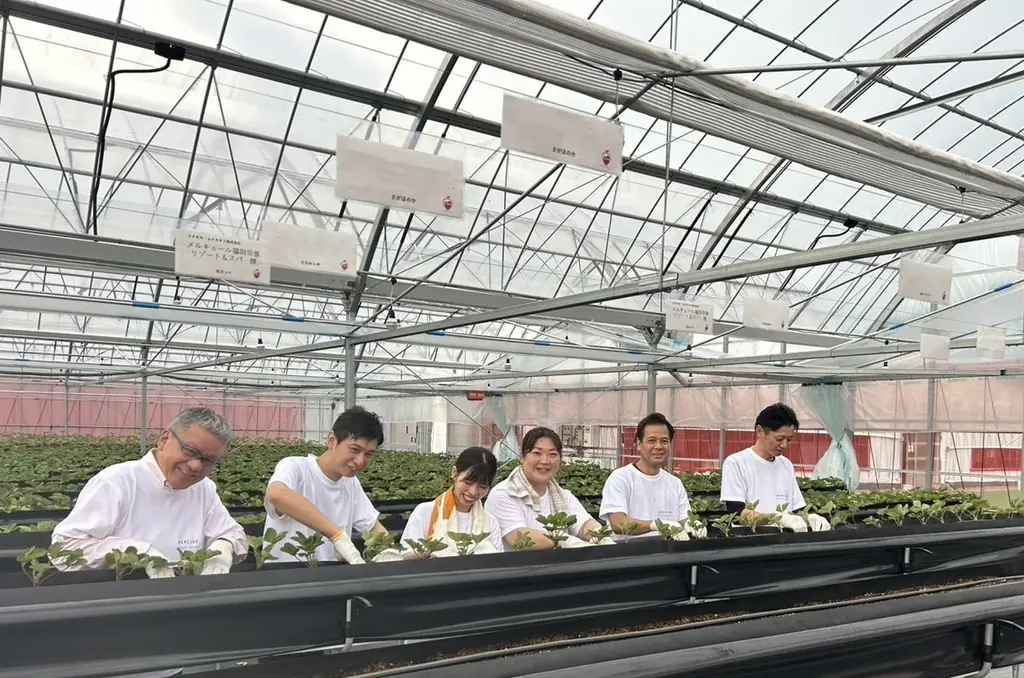 福岡・宗像の“ホテルスタッフが育てた”いちごを味わう。規格外いちごも活用したサステナブルな「いちごステイ」【メルキュール福岡宗像リゾート＆スパ】 画像 3