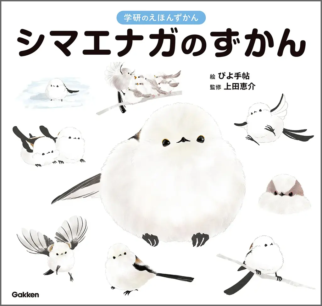 【シマエナガ好きに朗報！】1冊まるごとシマエナガ！　可愛すぎる『シマエナガのずかん』予約受付中！ 画像 1
