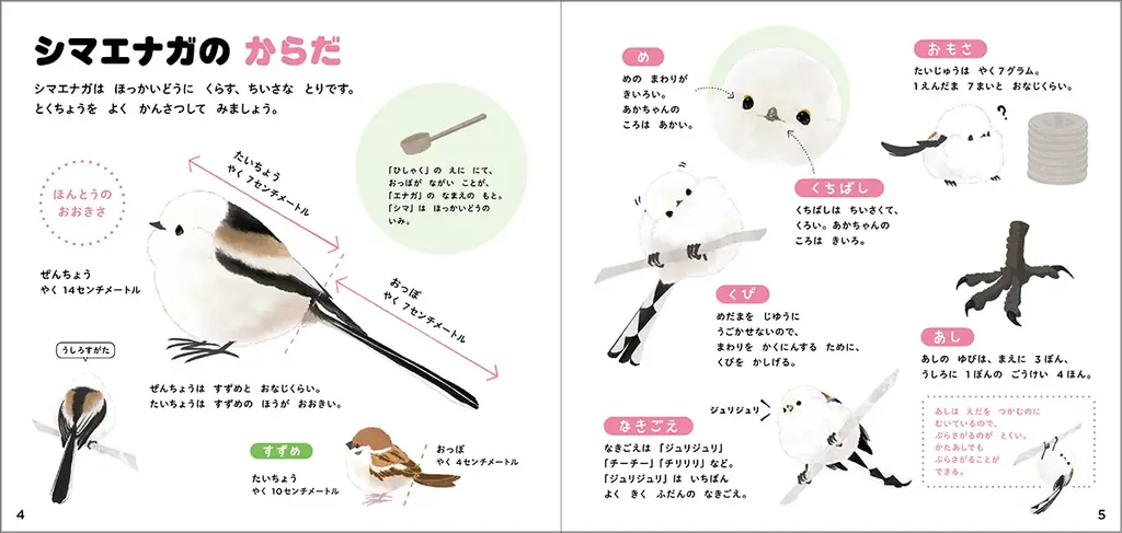 【シマエナガ好きに朗報！】1冊まるごとシマエナガ！　可愛すぎる『シマエナガのずかん』予約受付中！ 画像 2