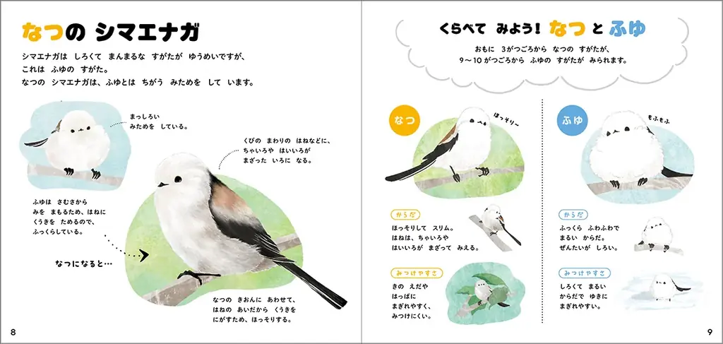 【シマエナガ好きに朗報！】1冊まるごとシマエナガ！　可愛すぎる『シマエナガのずかん』予約受付中！ 画像 3