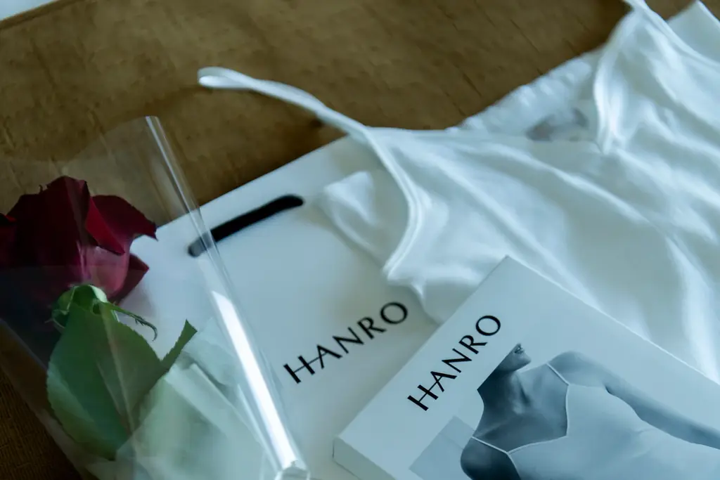 ザ・プリンスギャラリー 東京紀尾井町 ラグジュアリーインナーウェアブランド「HANRO」と贈るバレンタインやホワイトデーにもおすすめのステイプランを販売 画像 6