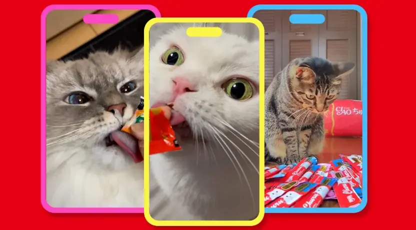 CIAOちゅ～る動画で応募！ドンキ×いなば『ド偏愛選手権』開催