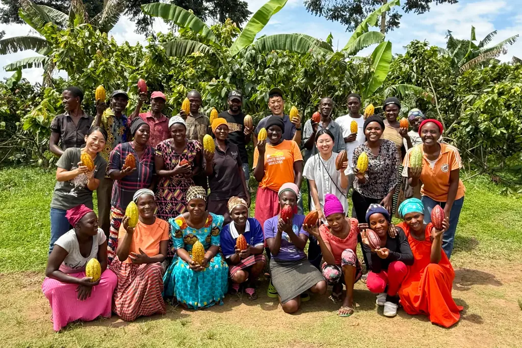 【新商品】ウガンダのクラフトマンシップが結実　ダンデライオン・チョコレート『カカオ・デュエット』1月10日（土）より発売 画像 6