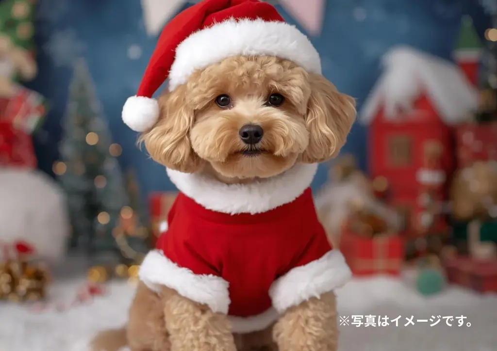【福岡県朝倉市】ワンちゃんと過ごせる「リニューアル＆クリスマスイベント」を開催！ 画像 3