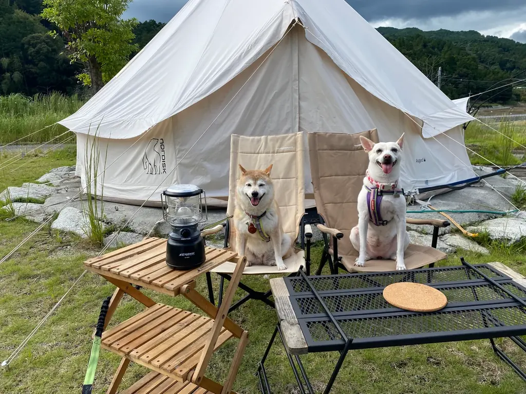 【福岡県朝倉市】ワンちゃんと過ごせる「リニューアル＆クリスマスイベント」を開催！ 画像 4