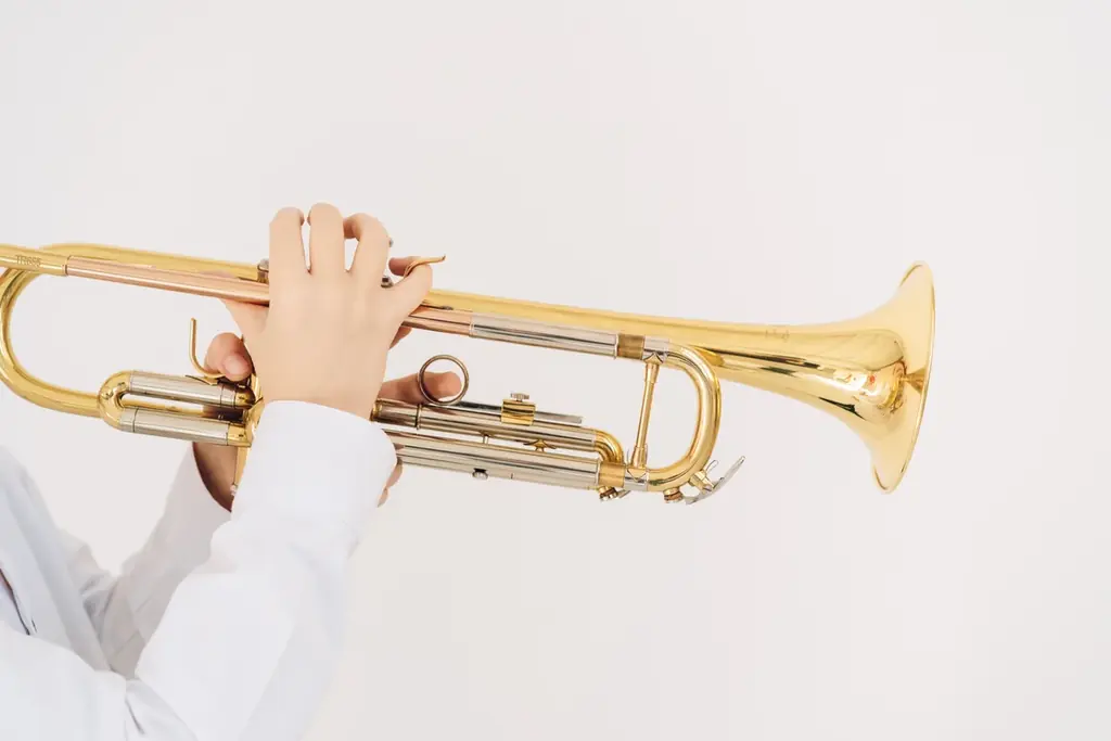 【リーガロイヤルホテル広島】都会の森のチャペルで奏でる無料のコンサート『金管五重奏コンサート ～バレンタインにお贈りする金管の響き～』 画像 2