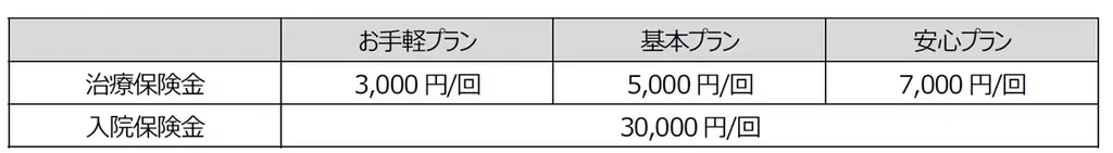 楽天ペイメントと楽天少額短期保険、「楽天ペイ」アプリで「インフルエンザのほけん」を提供開始 画像 2