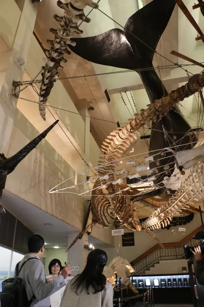 今年最後の放送！三田村邦彦が和歌山・紀南へ！今が旬の絶品本まぐろ、旨味たっぷりのくじらを堪能します！ 画像 6