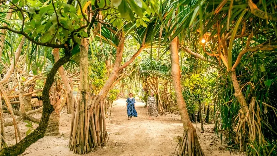 【奄美温泉 大和 ハナハナビーチリゾート】初エントリーで「ニフティ温泉年間ランキング2025」に3部門受賞！記念キャンペーンとして特別価格電子チケット販売開始！ 画像 15