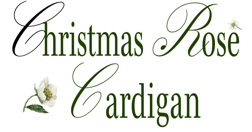 【Viaggio Blu (ビアッジョブルー)】新作プリントコレクションを発表。心をときめかせる冬の装いをご提案いたします。 画像 11