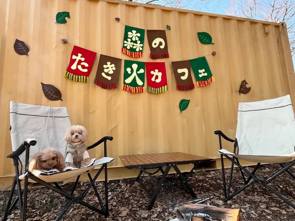 暖かい火とグルメ・音楽に癒される「森のたき火カフェ」2026年1月11日（日）・12日（月・祝）開催（埼玉県営和光樹林公園） 画像 3