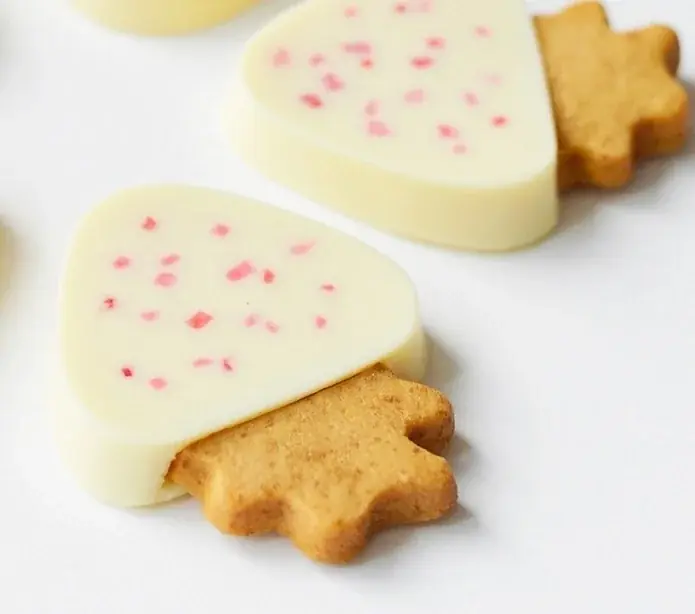 『〈オードリー〉POP-UP SHOP』を大丸京都店で開催！ 画像 11