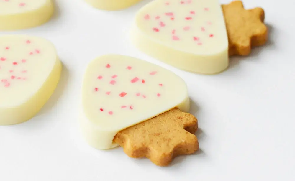 『〈オードリー〉POP-UP SHOP』を大丸京都店で開催！ 画像 12