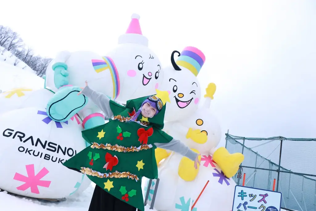 「クリスマスのスキー場にコスプレ大集合」！！「サンタ・トナカイ・漫画・アニメ・ゲーム等」の「”色んなコスプレが集まるイベント”」を「１２月２４日」（水）に「グランスノー奥伊吹」にて初開催！ 画像 4