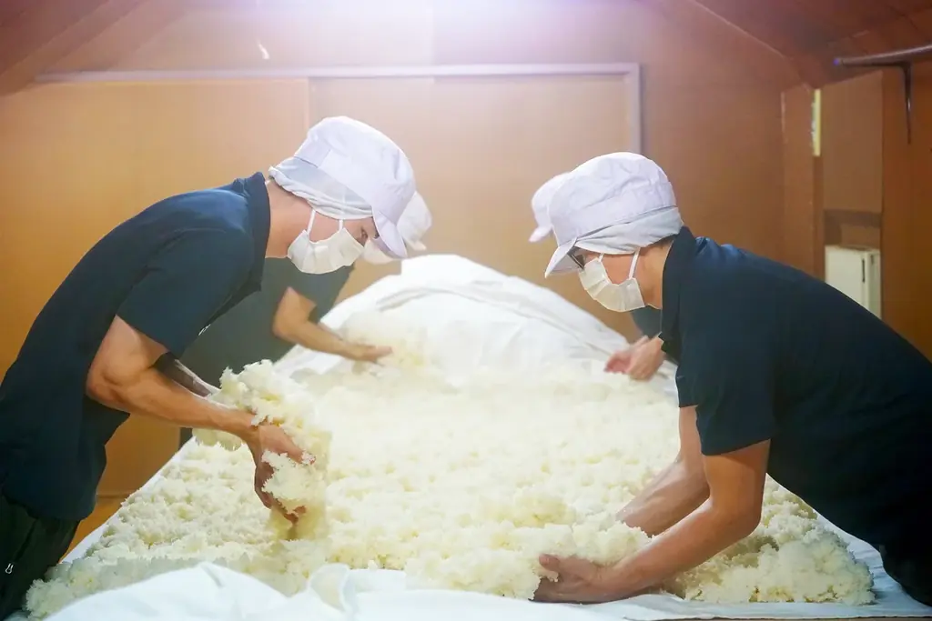 ダンデライオン・チョコレート× 出羽桜酒造 コラボレーション第2弾 「シングルオリジン・生チョコレート 貴醸酒」を数量限定で発売 画像 2