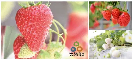 ＜＜アルデ新大阪＞＞10周年記念企画「アルデあるある感謝まつり」開催中 画像 9