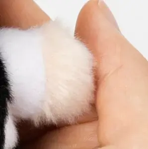 新ブランド「ぱやぱやっこ」のぬいぐるみが登場！「ジャンプフェスタ2026」にて2025年12月20日（土）より先行販売！ 画像 2