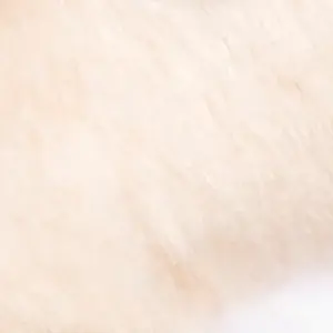 新ブランド「ぱやぱやっこ」のぬいぐるみが登場！「ジャンプフェスタ2026」にて2025年12月20日（土）より先行販売！ 画像 3