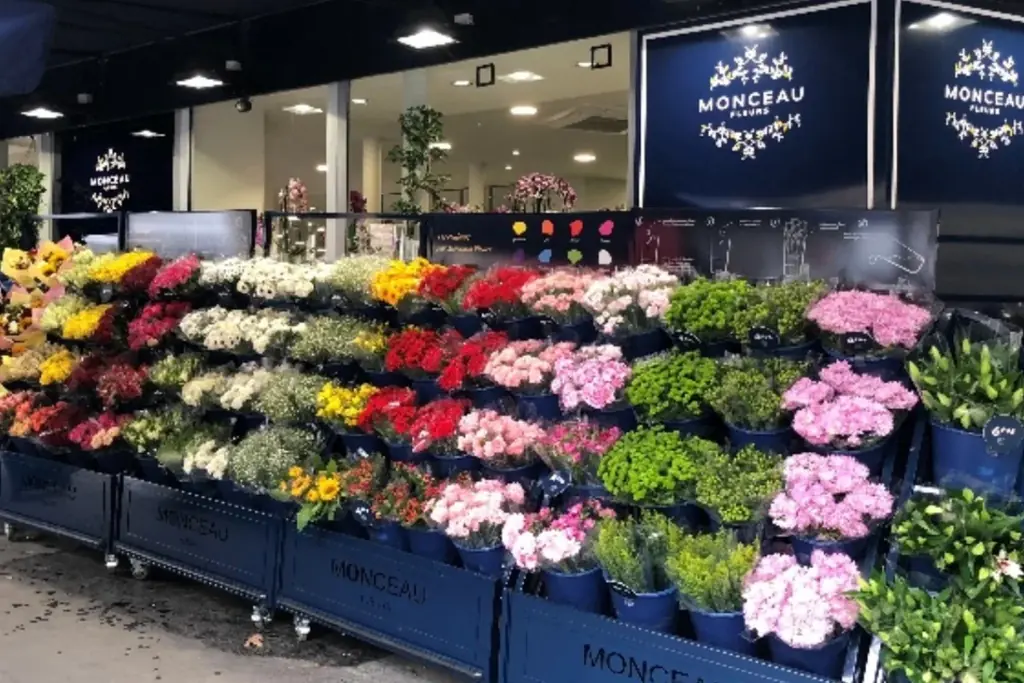 【スペシャルコラボ決定】新作ミュージカル『白爪草』×世界で400店舗を展開するお花屋さん「MONCEAU FLEURS」舞台セットイメージ大公開／各回先着20名限定・舞台解説ツアーも開催決定！ 画像 4