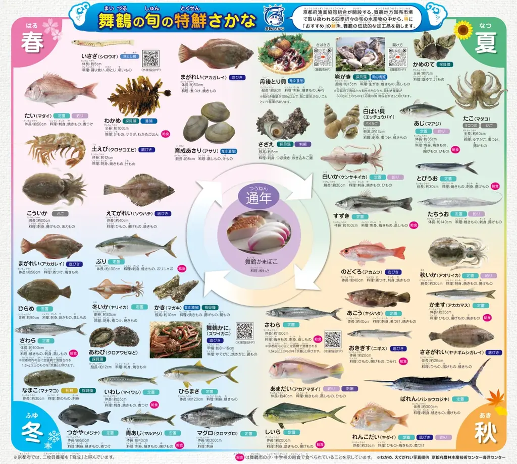 旬の特鮮さかな改定