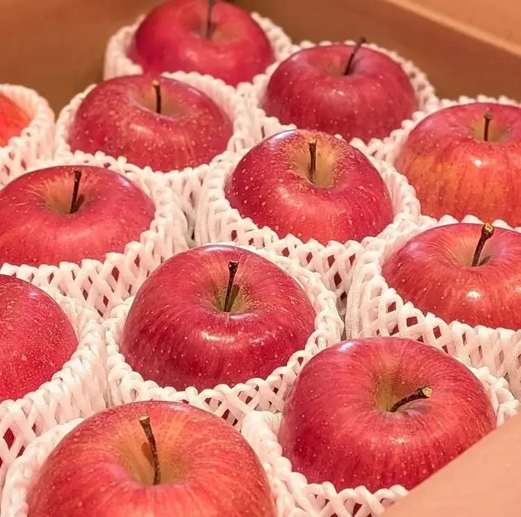 【長野市中条】道の駅中条で地域の魅力と年末の風物詩を楽しめるイベント「年の瀬フェア2025」開催！ 画像 4