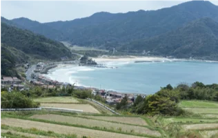 希少和牛「無角和種」を未来につなぐ山口県阿武町 名産地化を推進 画像 2