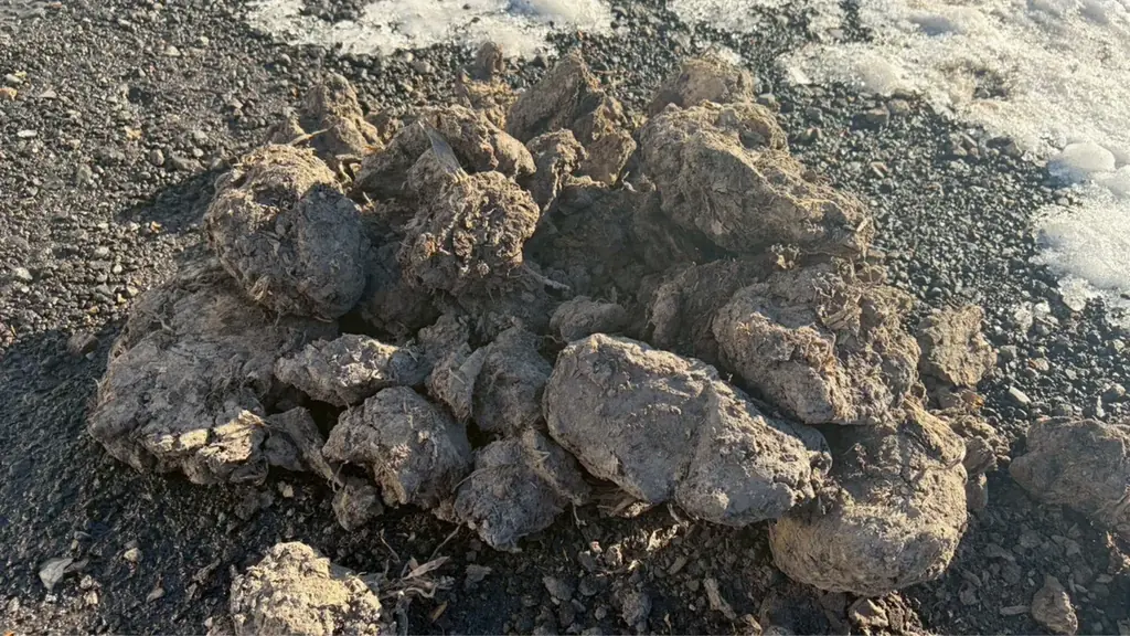 北海道・大樹町発、真の国産ウイスキー「PEATLAND(ピートランド)」カスクオーナー第2期を限定50樽で募集開始！ 画像 7