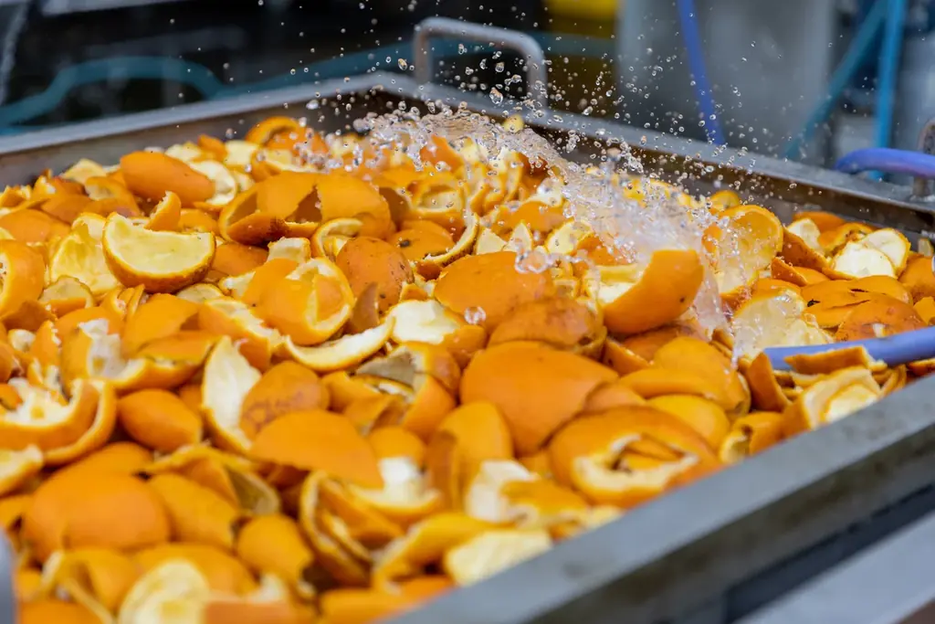 【愛媛の果実100％使用】創業62年、愛媛果汁食品㈱が新ブランド「ヒメジャム」を発表！12月23日（火）販売開始！　～伝統技術×特産品果実でジャムを刷新。愛媛を味わう新ブランド登場～ 画像 12