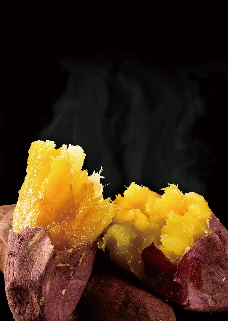 栄光の“焼き芋屋NO.1”を巡る熱き戦い！「全国やきいもグランプリ2026」エントリー焼き芋決定！ 画像 13