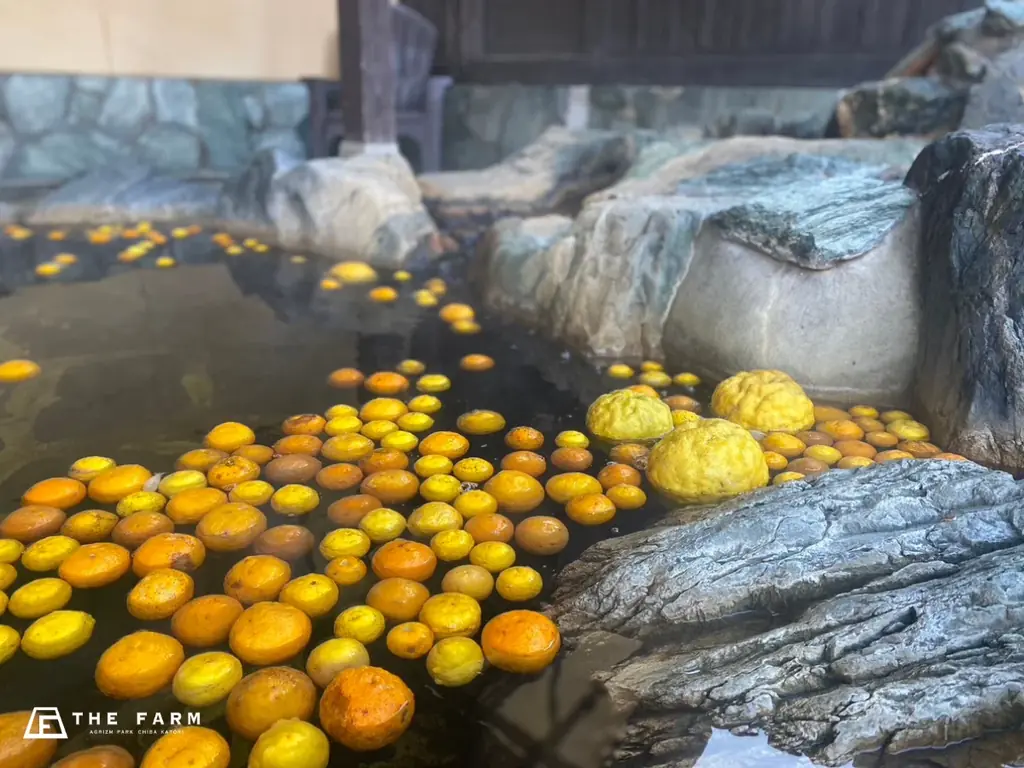 地域の柚子が“900kg”集まる。おふろcaféかりんの湯、冬至に合わせ「柚子ゆずってください」実施—集まった柚子で“ゆず風呂”開催中＆限定「ゆずパスタ」も提供 画像 2