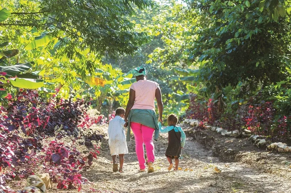 希少なコーヒーの原種 ティピカ種を使用した「ドミニカンブレンド」ドトールコーヒーショップで1月９日より数量限定で発売 画像 3