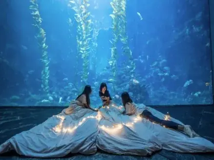 【航空券5%OFF！限定割引コード配布中】ベルトラ、エバー航空・台湾観光庁と共同プロモーションを開始 画像 7