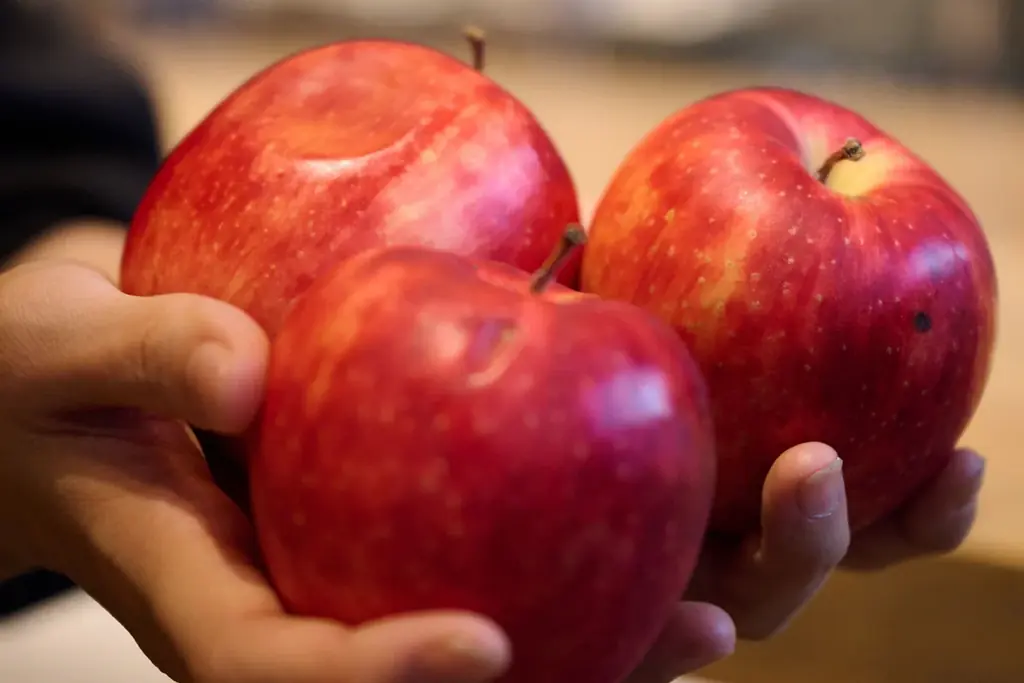 【冬季限定】焼き林檎の香ばしさをより深く。RACINES MICRO BREWERY「焼き林檎アンバーエール」2シーズン目、12月25日より販売 画像 7