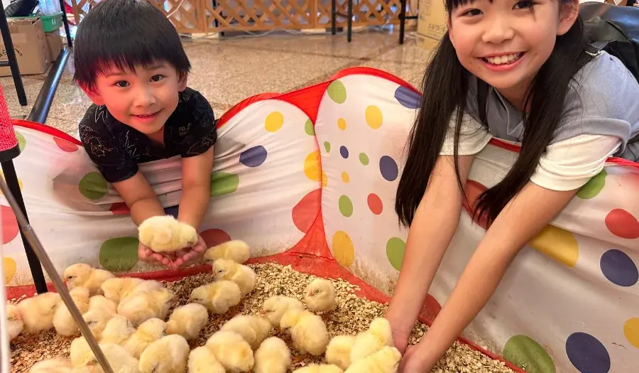 神戸ストークスの選手ロッカールームが初詣スポットに！「Ｇアリ初詣」・お正月限定の「アリーナツアー」の実施を決定！┃入場無料の「アリーナ de お正月・Gアリ大開放デー」 画像 7