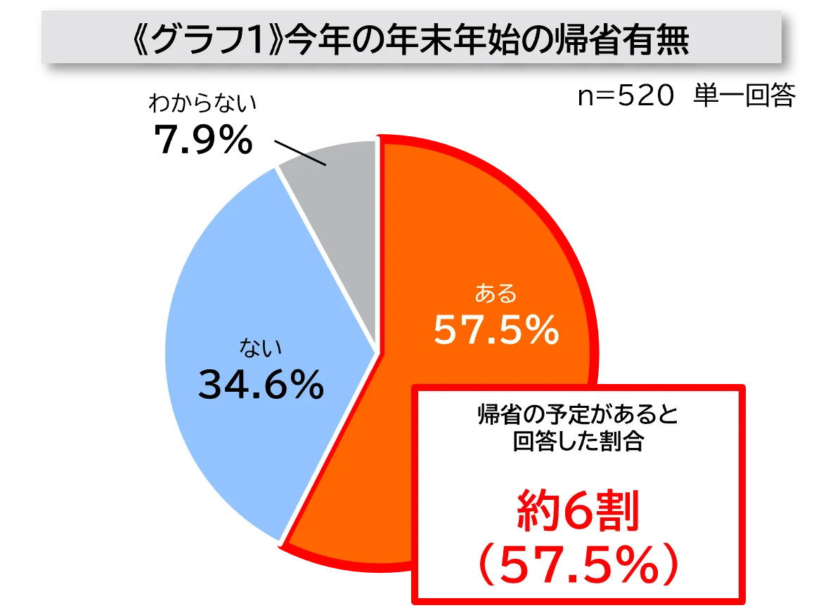 第一三共ヘルスケア、東京駅で年末年始広告　帰省前の常備薬見直し訴求