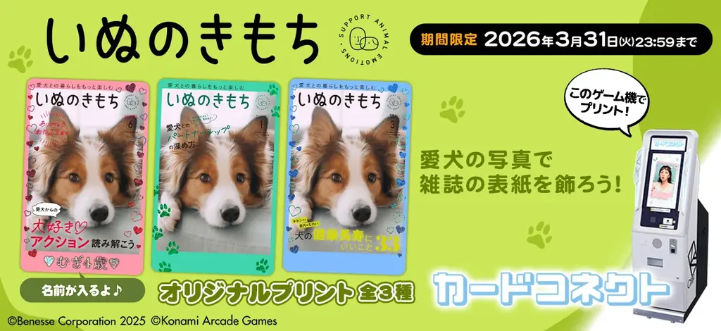 『カードコネクト』の全てのカードがホログラム印刷になってパワーアップ！ 画像 9