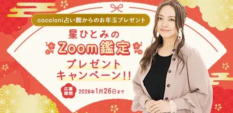 星ひとみ・彌彌告のZoom鑑定が当たる！最大100％OFFの特典も！年末年始だけの豪華キャンペーンを開催 画像 3