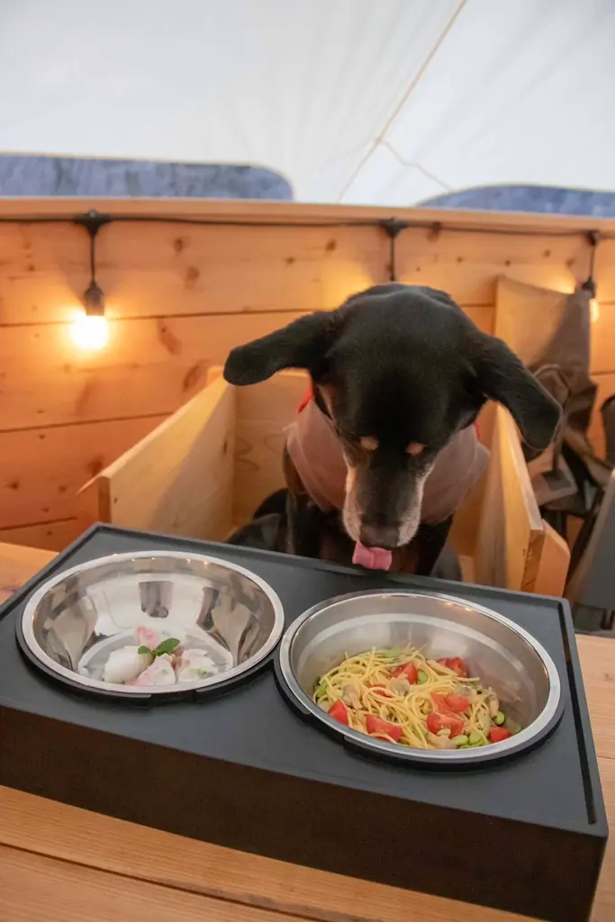 最高のリトリートを体験できる THE FIVE RIVERS FINE GLAMPING 群馬 白沢　コタツで味わう”すき焼き冬ディナー”＆ペットフーディスト監修愛犬用”新春おせちディナー”　提供開始 画像 17